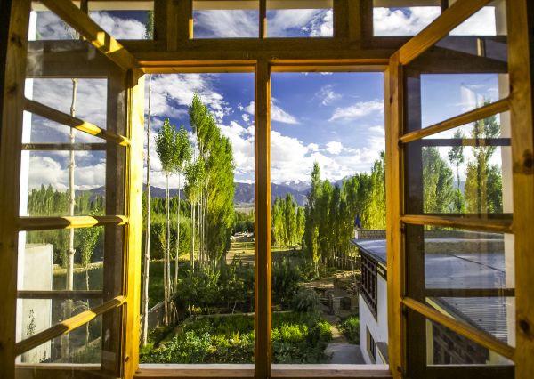 Cost of Wood Window Replacement in Miami