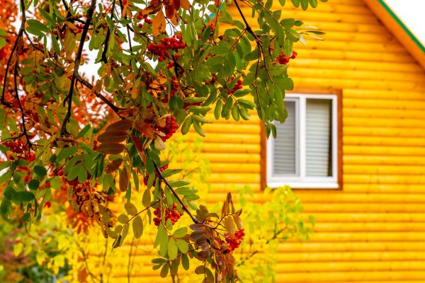 Cost of Garden Window Replacement in Miami